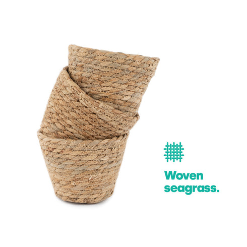 14cm Small Seagrass Plant Pots Set of 3